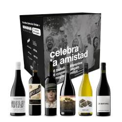Celebra la Amistad
