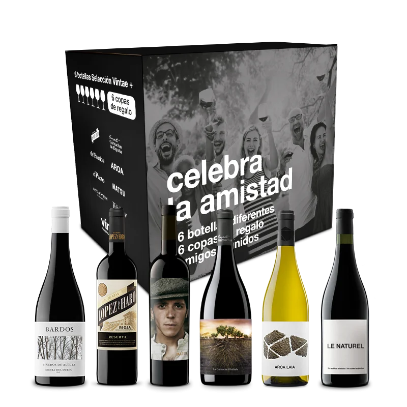 Celebra la Amistad