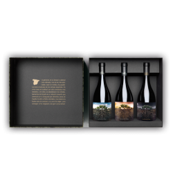 Estuche Proyecto Garnachas...