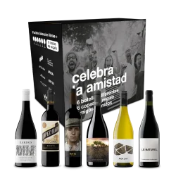 Celebra la Amistad