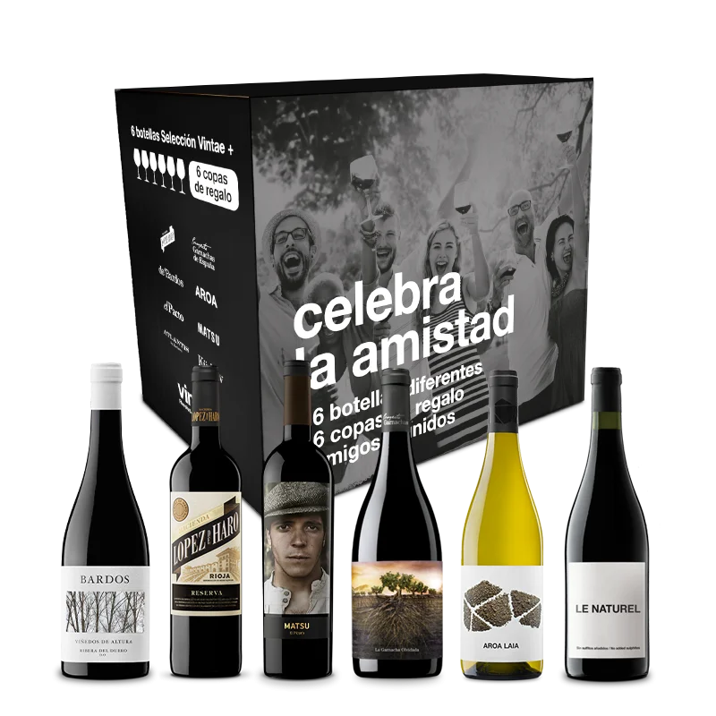 Celebra la Amistad