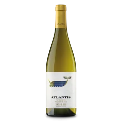 Atlantis Hondarrabi Zuri 2025