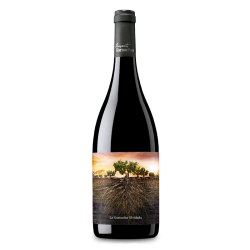 La Garnacha Olvidada de...
