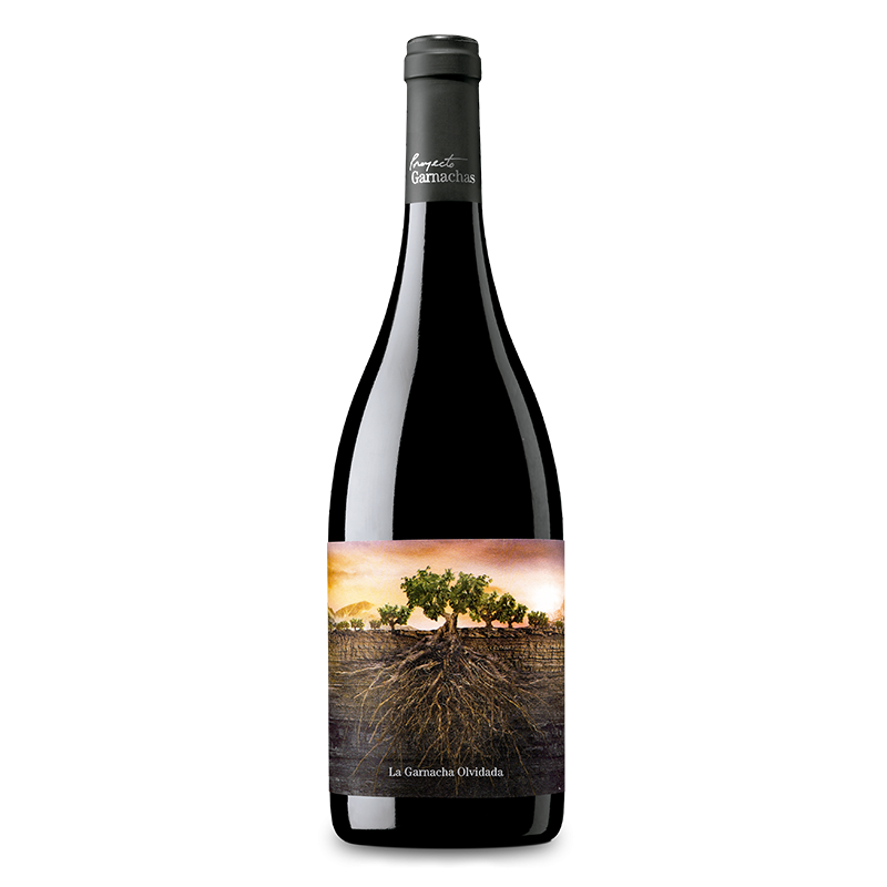 La Garnacha Olvidada de Aragón 2021