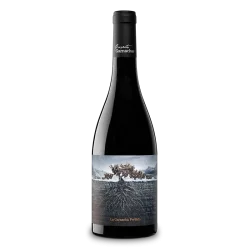 La Garnacha Perdida del Pirineo 2021