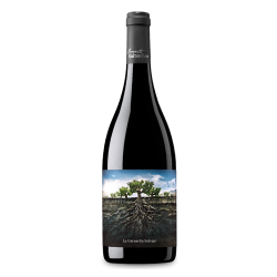 La Garnacha Salvaje del Moncayo 2021