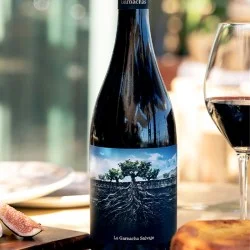 La Garnacha Salvaje del Moncayo 2023