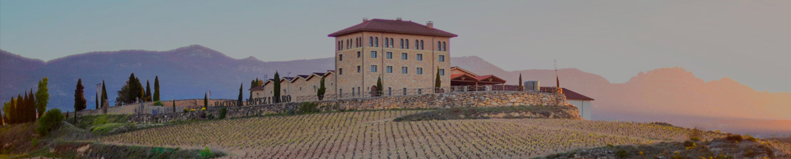                                                                                                                                                                                                Ven a descubrir donde sucede la magia, las puertas de nuestra bodega están abiertas para ti 